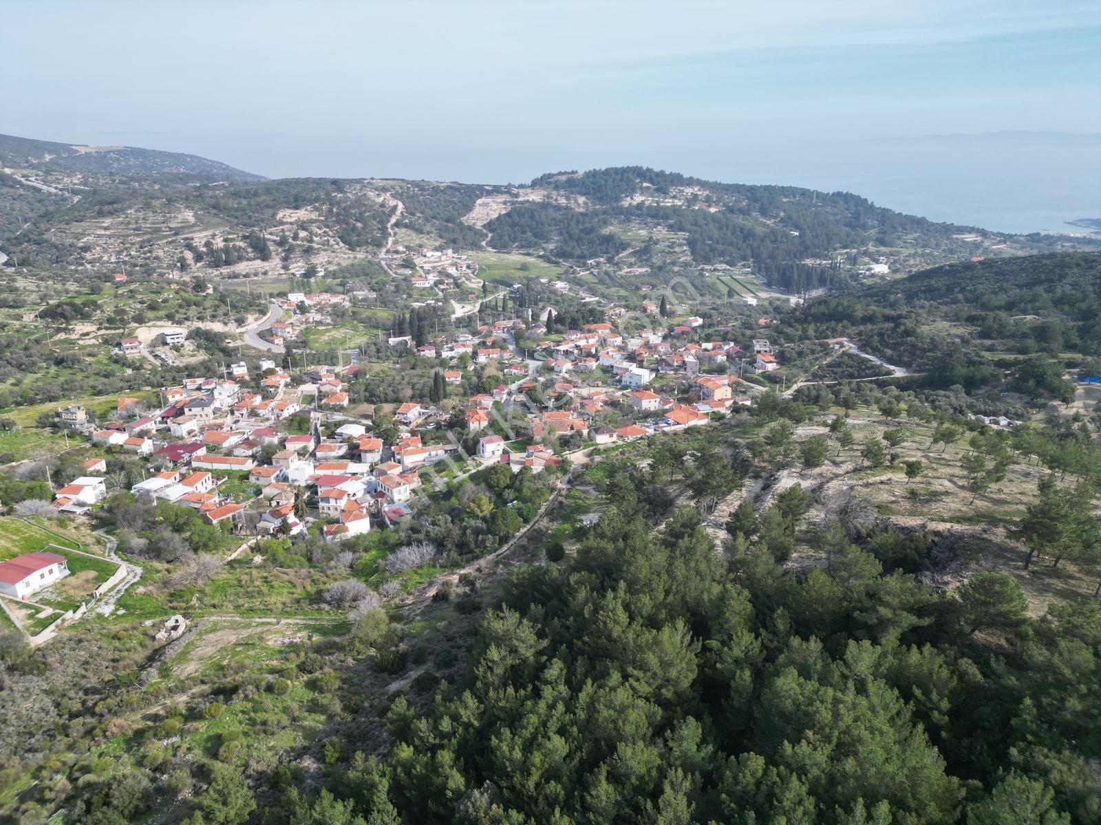 Eko Emlaktan İzmir Karaburunda Deniz Manzaralı Çiftlik Arazisi — fotoğraf 4