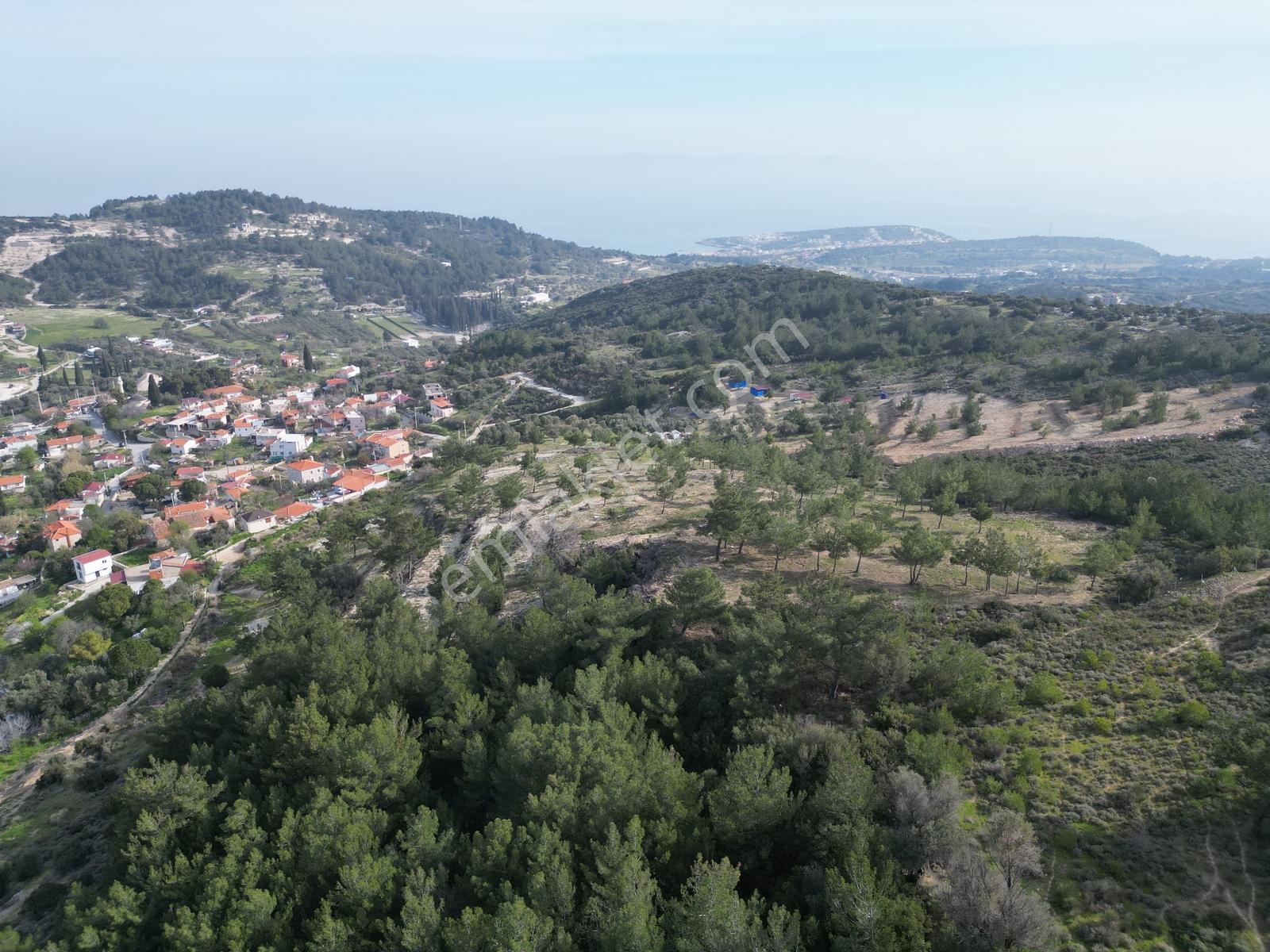 Eko Emlaktan İzmir Karaburunda Deniz Manzaralı Çiftlik Arazisi — fotoğraf 5