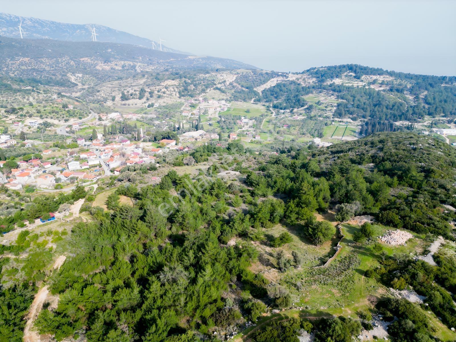 Eko Emlaktan İzmir Karaburunda Deniz Manzaralı Çiftlik Arazisi — fotoğraf 6