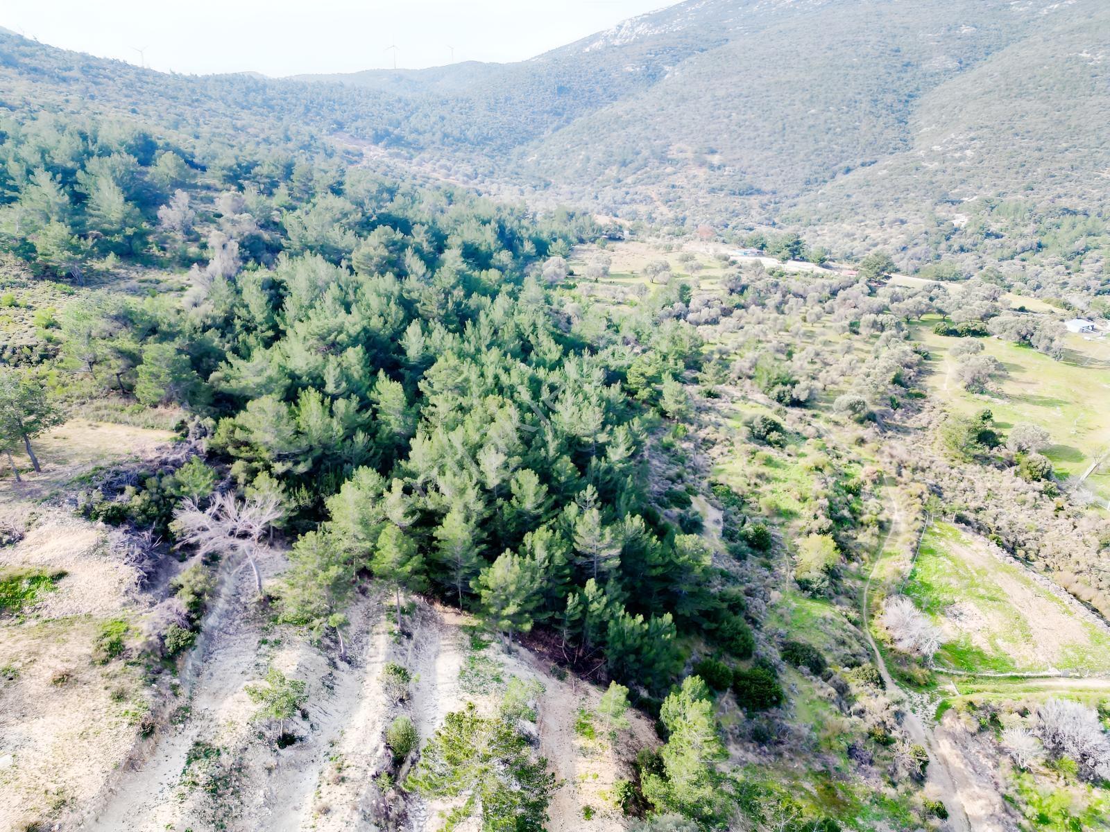 Eko Emlaktan İzmir Karaburunda Deniz Manzaralı Çiftlik Arazisi — fotoğraf 7