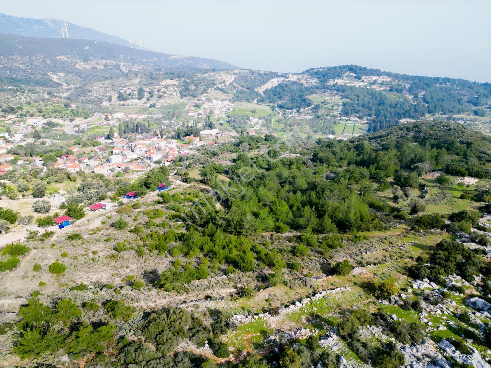 Eko Emlaktan İzmir Karaburunda Deniz Manzaralı Çiftlik Arazisi — fotoğraf 8