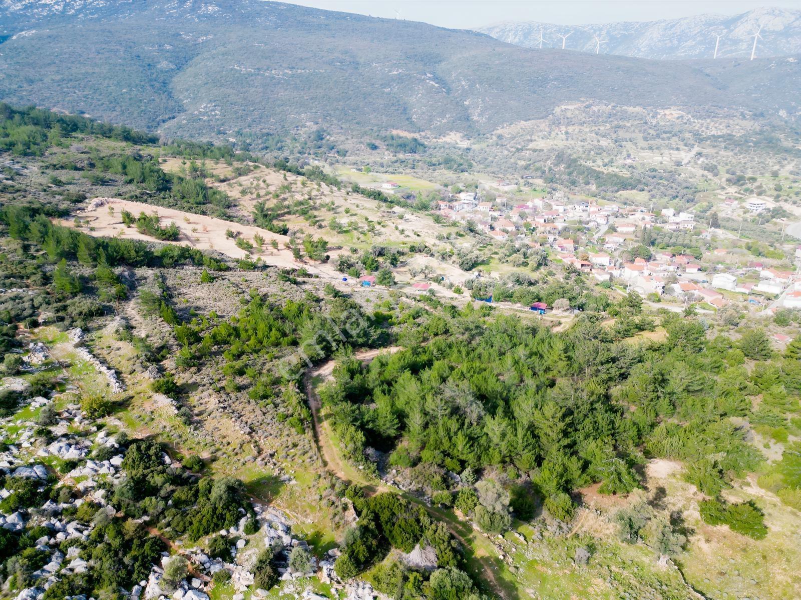 Eko Emlaktan İzmir Karaburunda Deniz Manzaralı Çiftlik Arazisi — fotoğraf 12