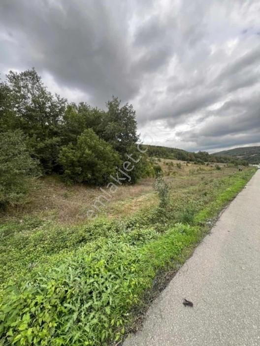 Kavak Satılık Anayola Cepheli İmarlı Arsa — fotoğraf 6