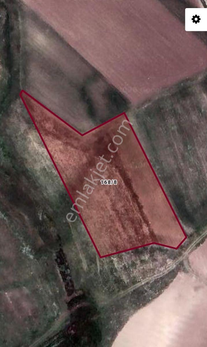 Lüx Erzurum'dan Aşkale Yolu Paşayurdunda 7800m2 Satılık Tarla