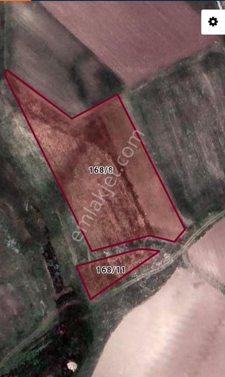 Lüx Erzurum'dan Aşkale Yolu Paşayurdunda 7800m2 Satılık Tarla — fotoğraf 10