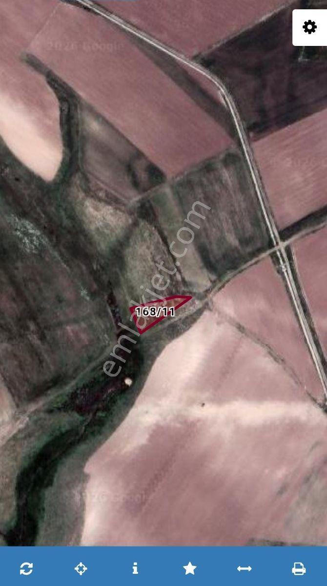 Lüx Erzurum'dan Aşkale Yolu Paşayurdunda 7800m2 Satılık Tarla — fotoğraf 11