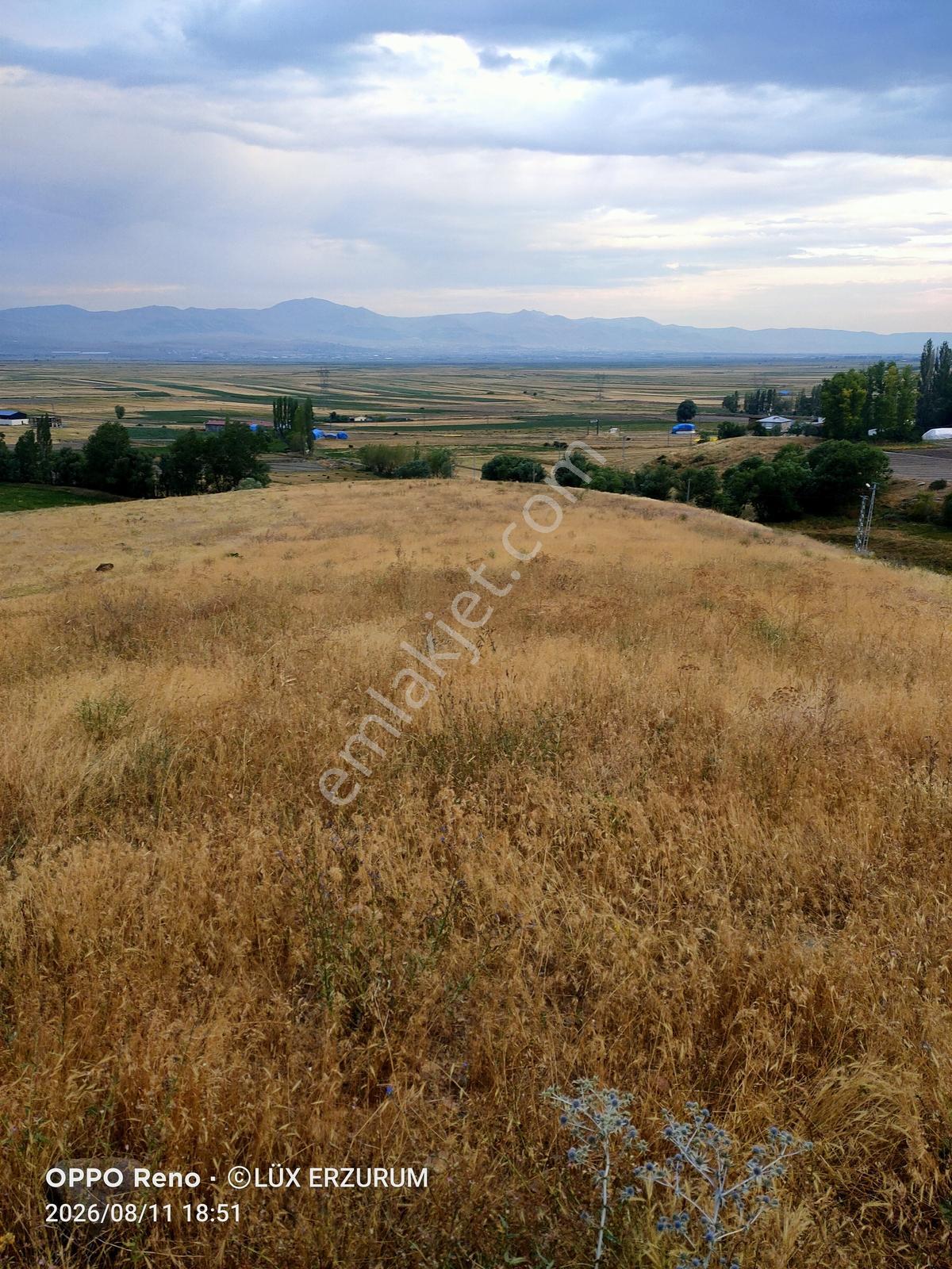 Lüx Erzurum'dan Yakutiye Yeşilyayla'da Satılık 5,5 Dönüm Tarla — fotoğraf 8