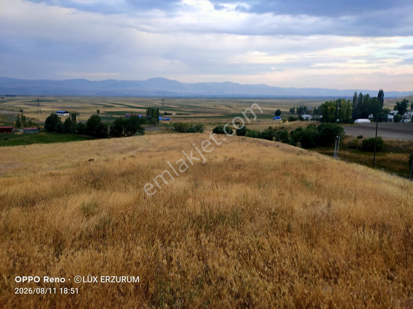 Lüx Erzurum'dan Yakutiye Yeşilyayla'da Satılık 5,5 Dönüm Tarla — fotoğraf 9