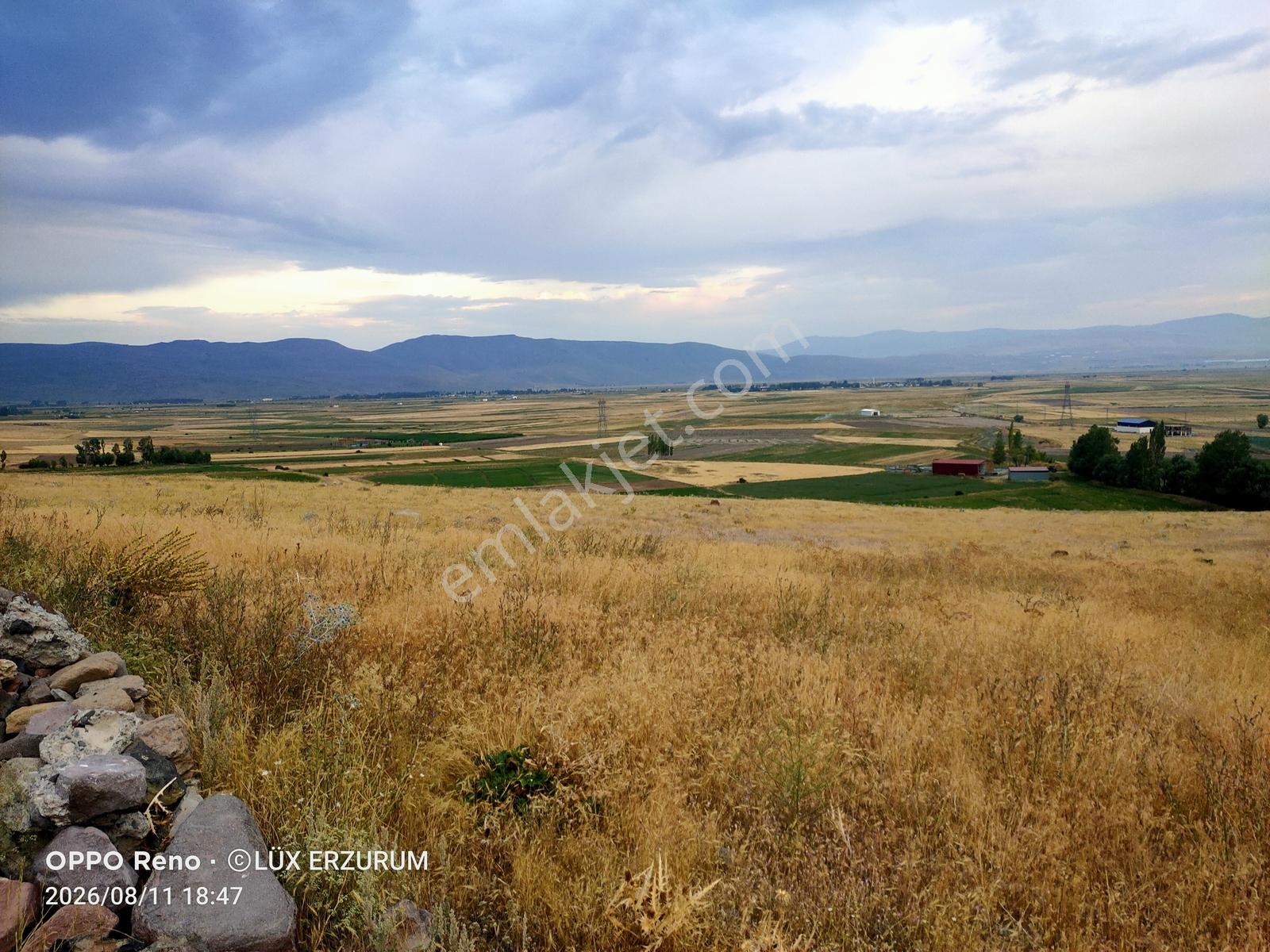 Lüx Erzurum'dan Yakutiye Yeşilyayla'da Satılık 5,5 Dönüm Tarla — fotoğraf 10