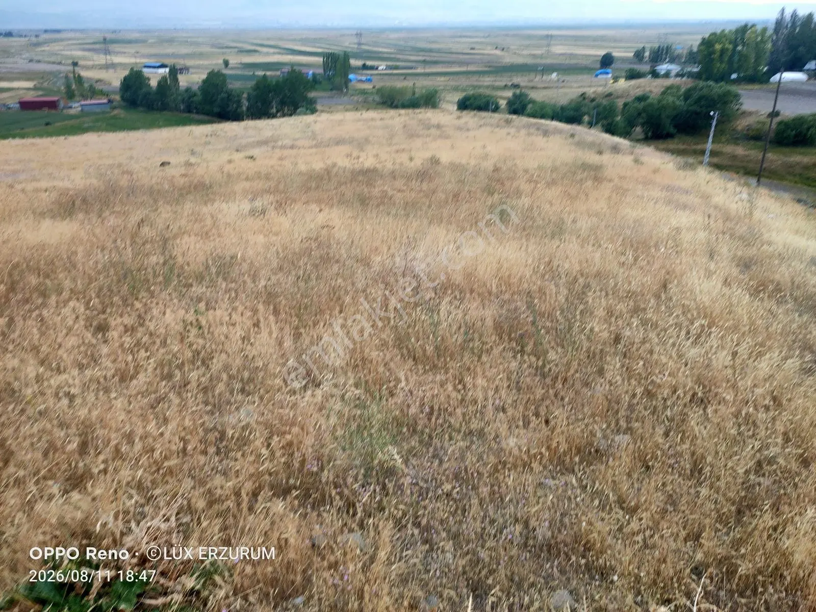 Lüx Erzurum'dan Yakutiye Yeşilyayla'da Satılık 5,5 Dönüm Tarla — fotoğraf 12