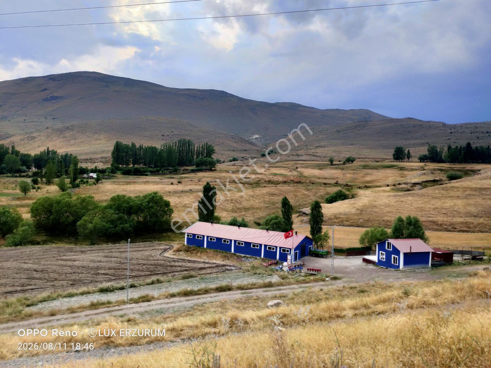 Lüx Erzurum'dan Yakutiye Yeşilyayla'da Satılık 5,5 Dönüm Tarla — fotoğraf 15