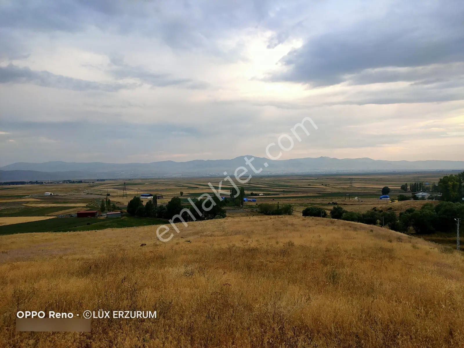 Lüx Erzurum'dan Yakutiye Yeşilyayla'da Satılık 5,5 Dönüm Tarla — fotoğraf 18