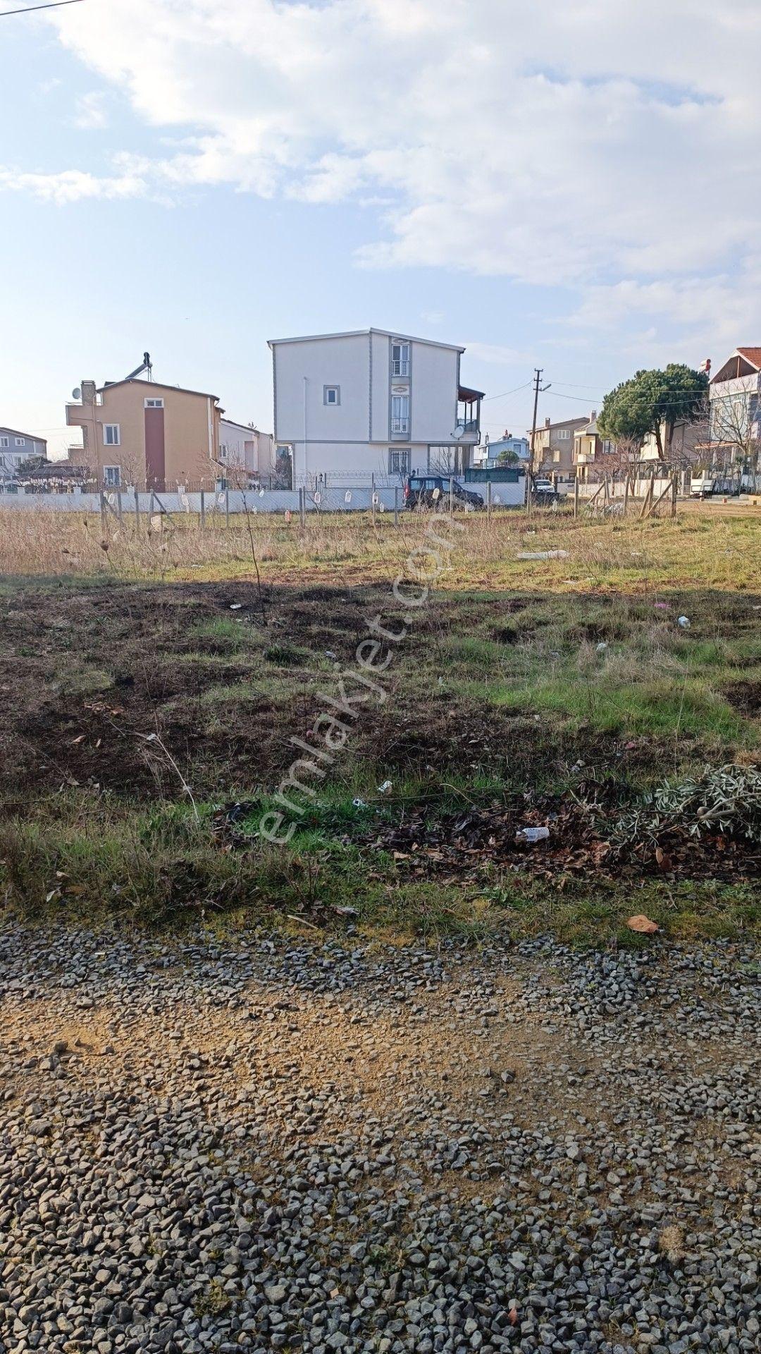 Yeniciftlik Kapaklı Kaynak Mevkide İmar Yolunda Güney Çepheli Arsa — fotoğraf 12