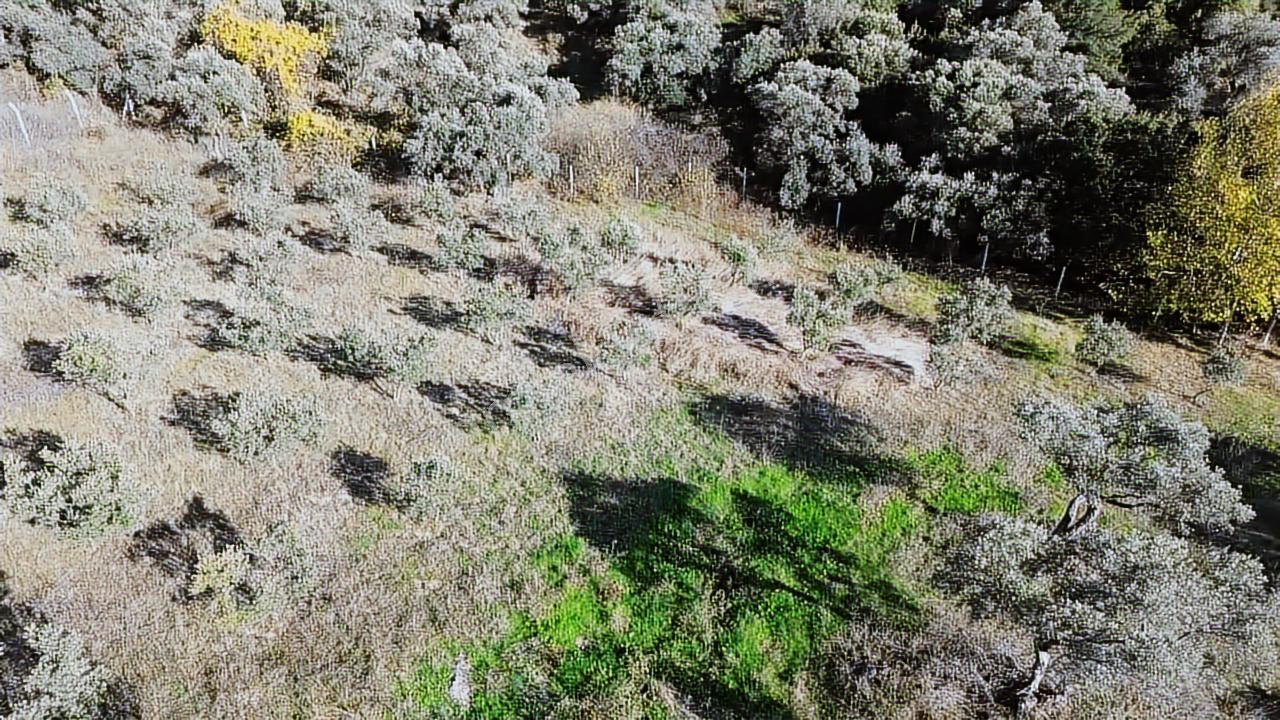 Kadastral Yola Cephe Müstakil Zeytinlik! — fotoğraf 17