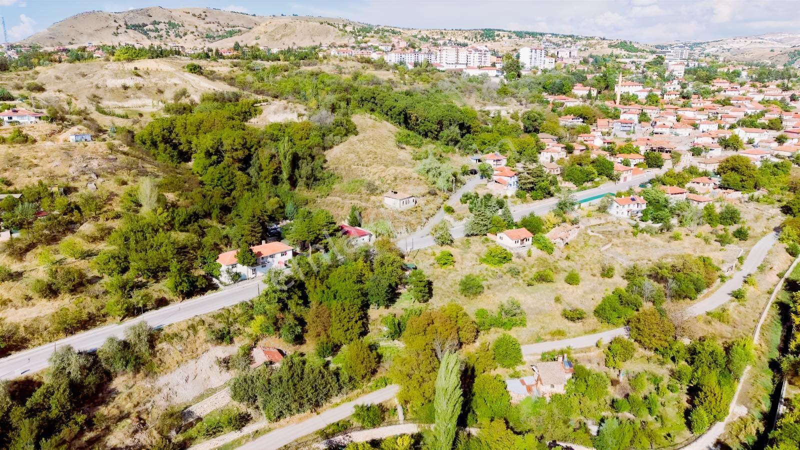 Ayaş Merkezde 1.462 M2 Tek Tapu Ahşap Evli Bağ — fotoğraf 4