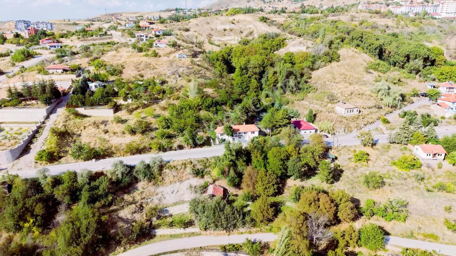 Ayaş Merkezde 1.462 M2 Tek Tapu Ahşap Evli Bağ — fotoğraf 5
