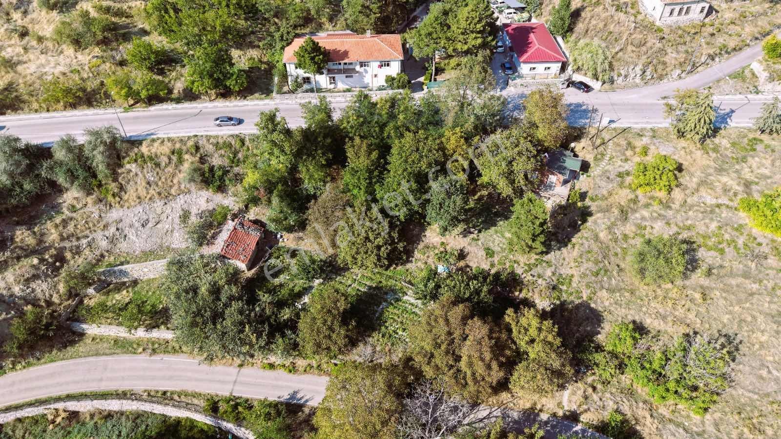 Ayaş Merkezde 1.462 M2 Tek Tapu Ahşap Evli Bağ — fotoğraf 6