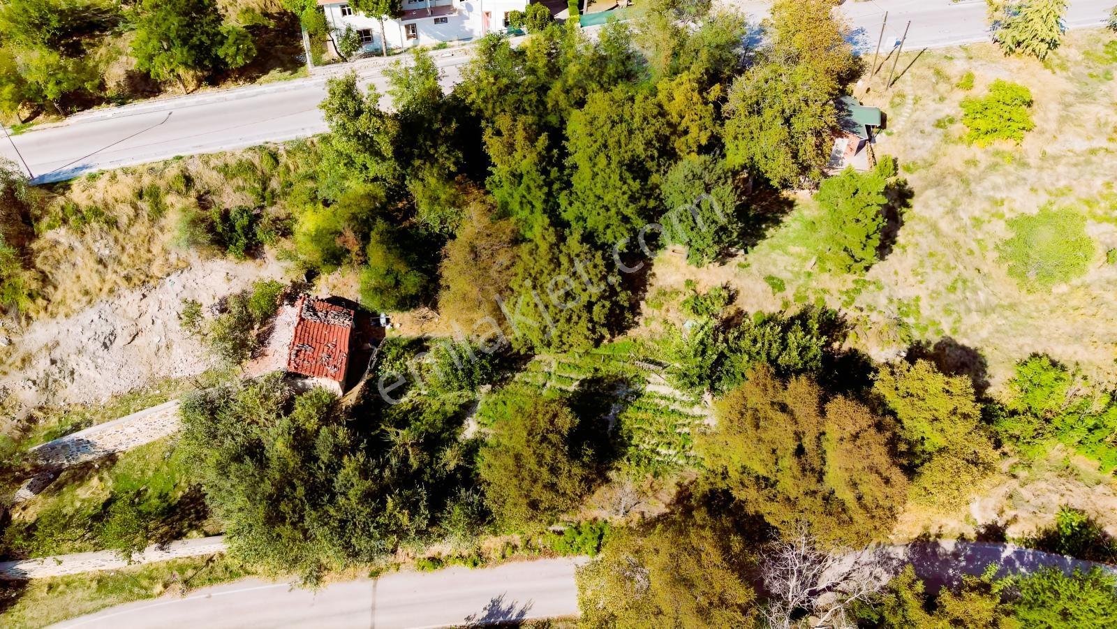 Ayaş Merkezde 1.462 M2 Tek Tapu Ahşap Evli Bağ — fotoğraf 9