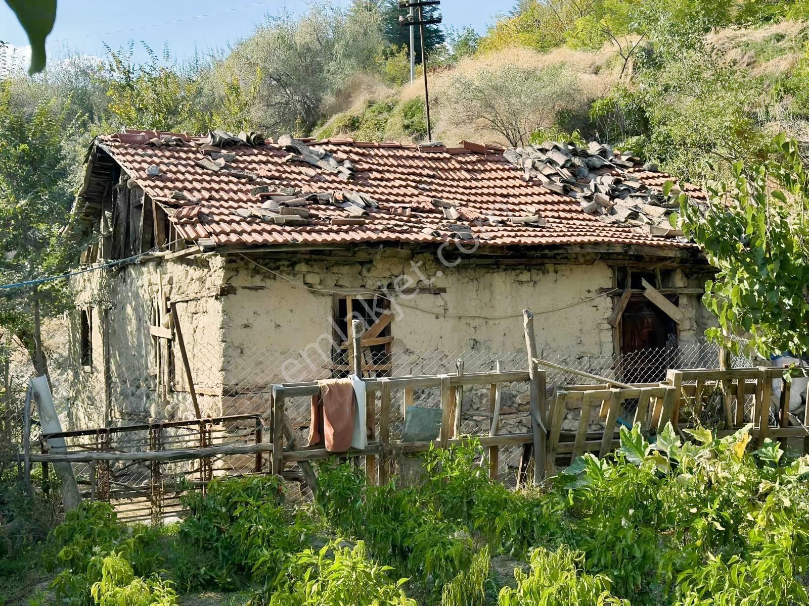 Ayaş Merkezde 1.462 M2 Tek Tapu Ahşap Evli Bağ — fotoğraf 11