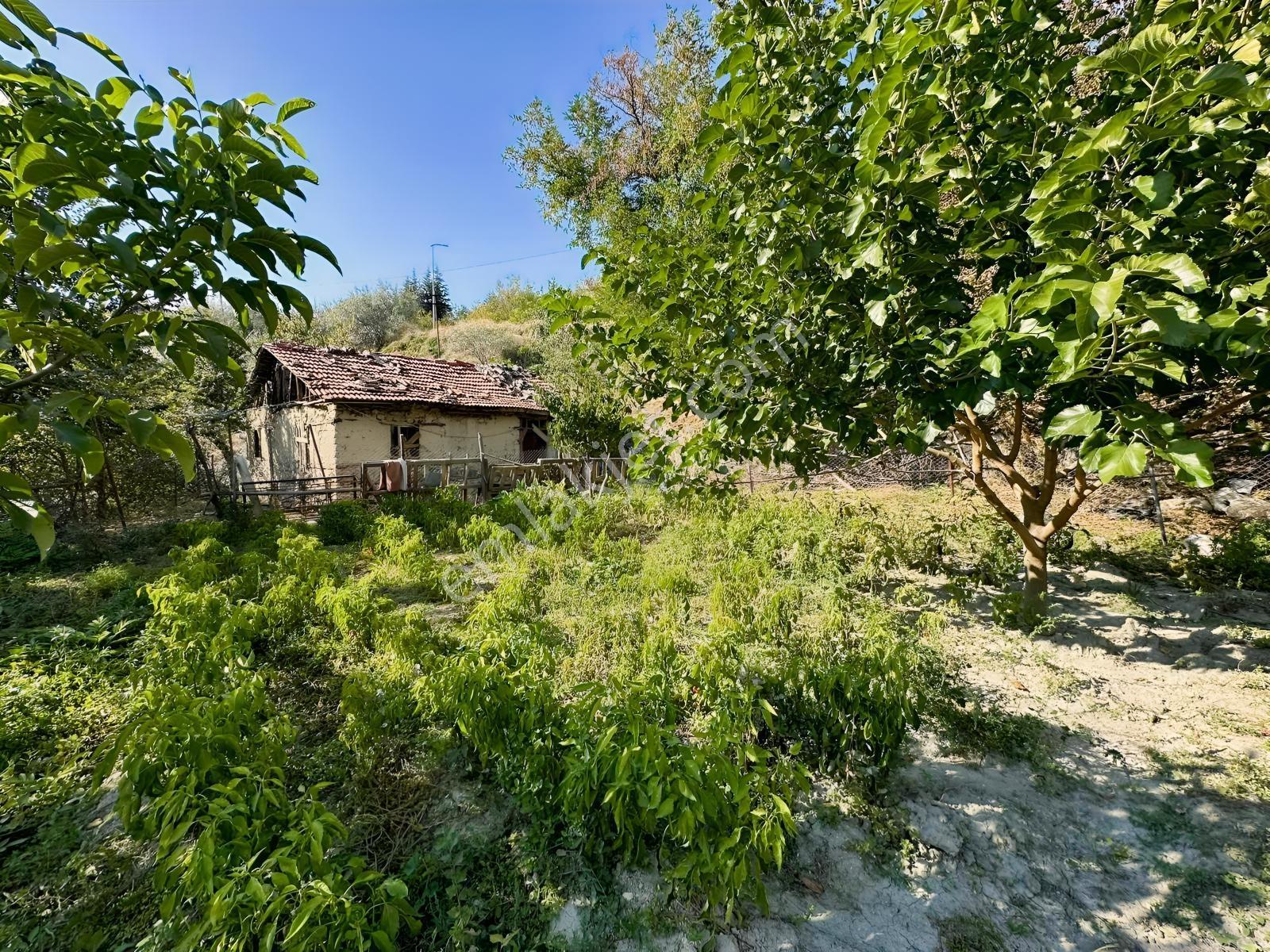 Ayaş Merkezde 1.462 M2 Tek Tapu Ahşap Evli Bağ — fotoğraf 15