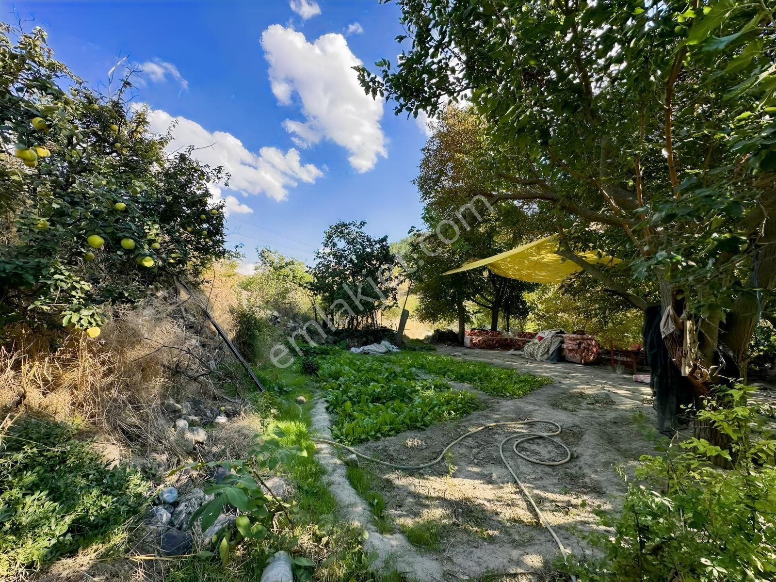 Ayaş Merkezde 1.462 M2 Tek Tapu Ahşap Evli Bağ — fotoğraf 16