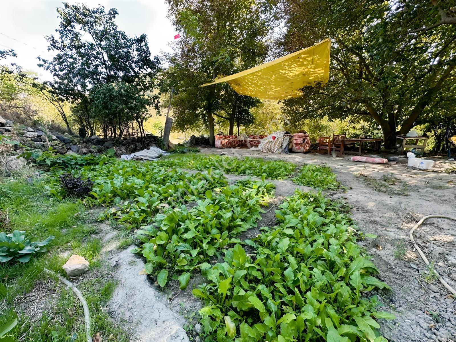 Ayaş Merkezde 1.462 M2 Tek Tapu Ahşap Evli Bağ — fotoğraf 17
