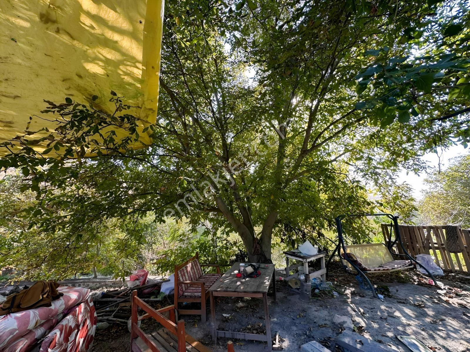 Ayaş Merkezde 1.462 M2 Tek Tapu Ahşap Evli Bağ — fotoğraf 18