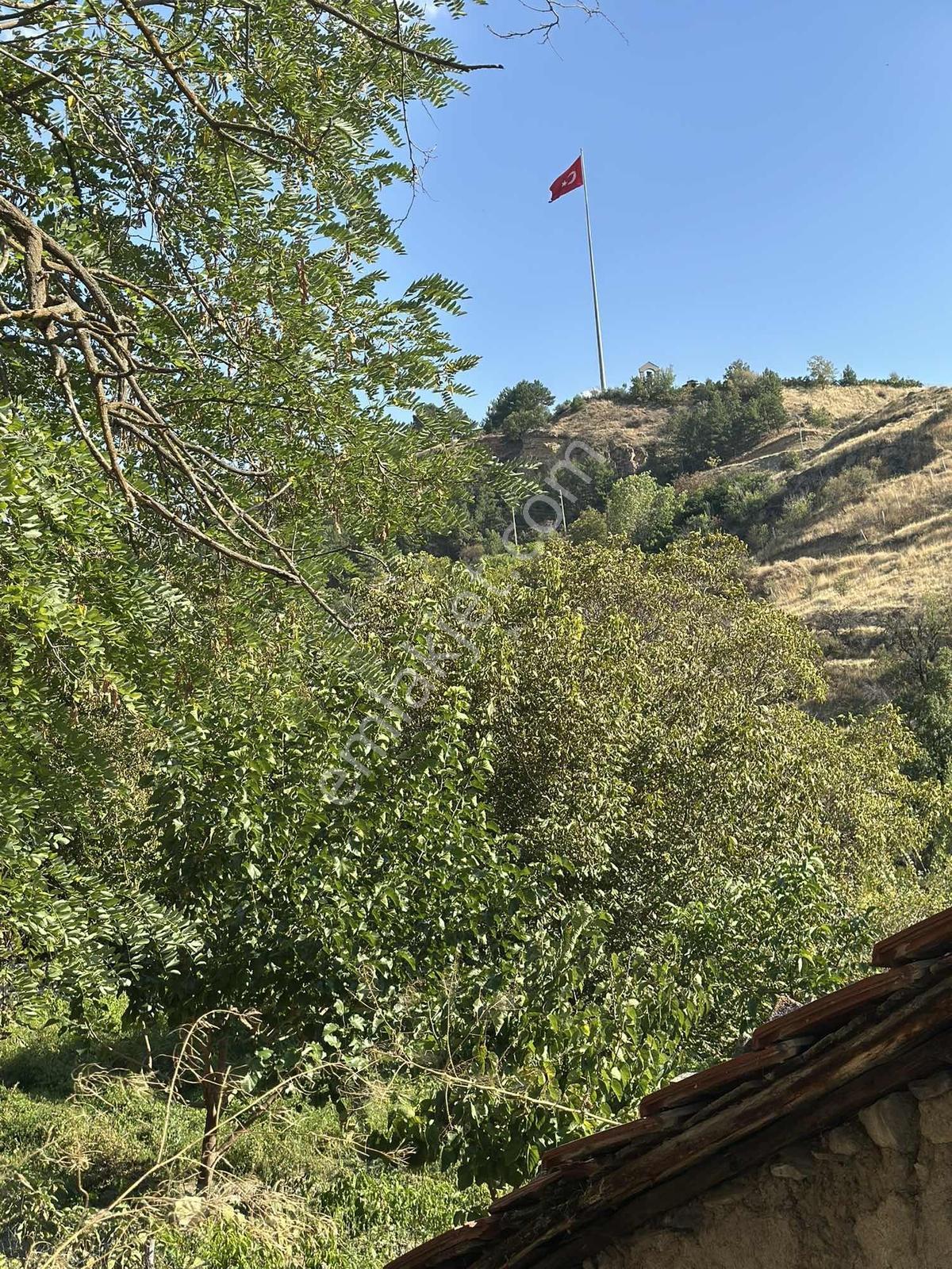 Ayaş Merkezde 1.462 M2 Tek Tapu Ahşap Evli Bağ — fotoğraf 20