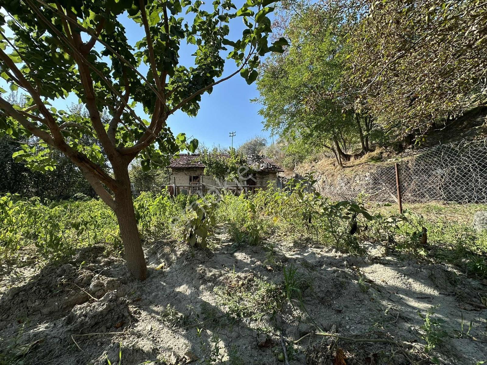 Ayaş Merkezde 1.462 M2 Tek Tapu Ahşap Evli Bağ — fotoğraf 21