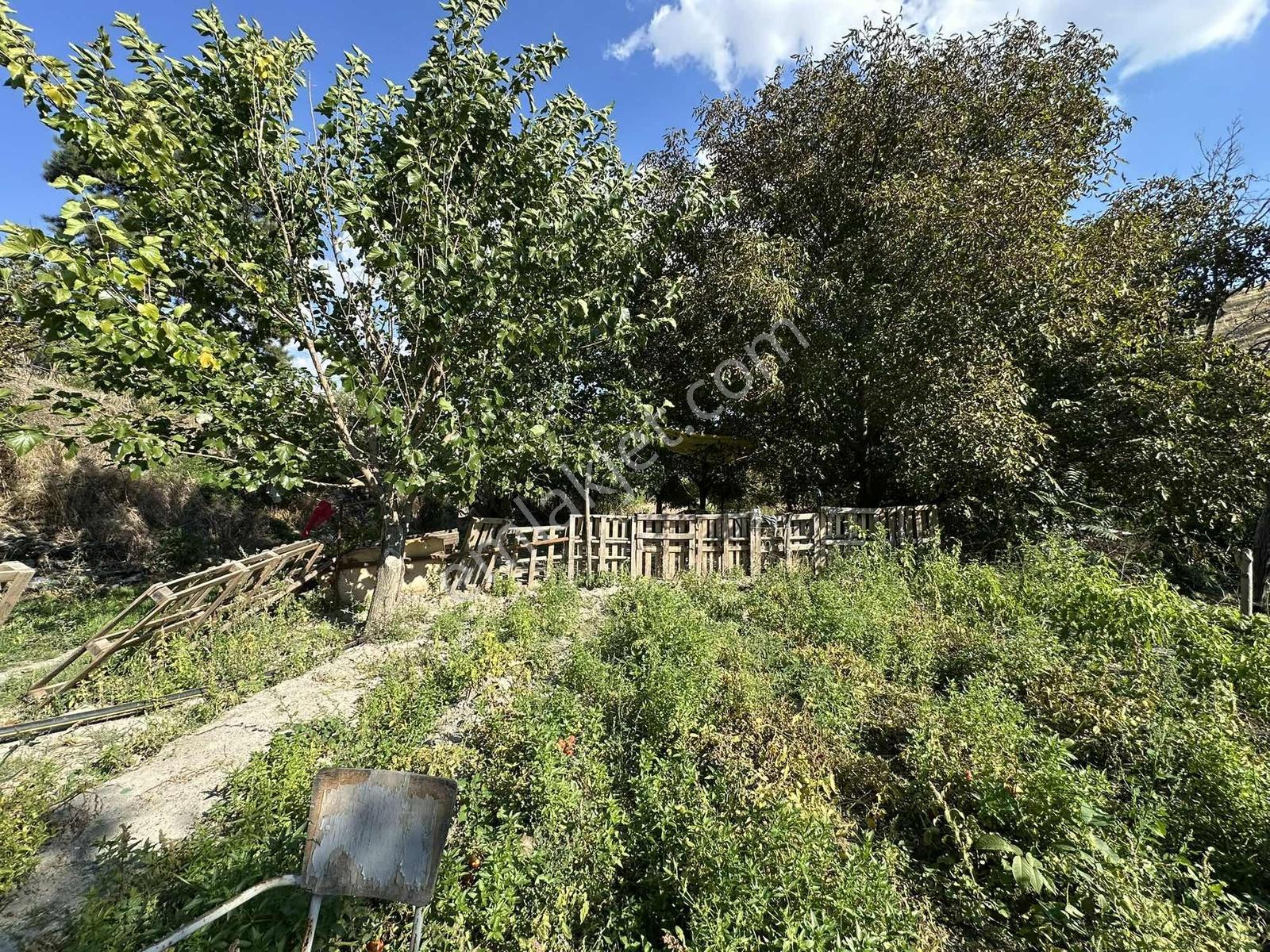 Ayaş Merkezde 1.462 M2 Tek Tapu Ahşap Evli Bağ — fotoğraf 23