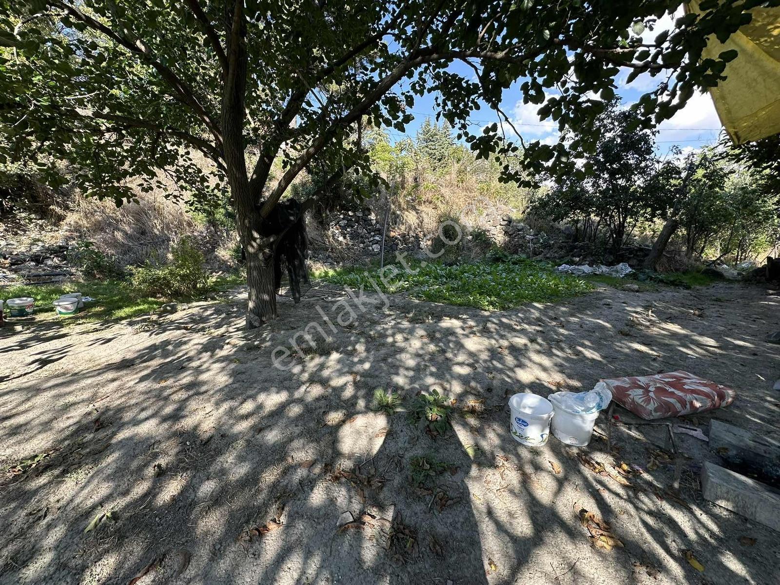 Ayaş Merkezde 1.462 M2 Tek Tapu Ahşap Evli Bağ — fotoğraf 25