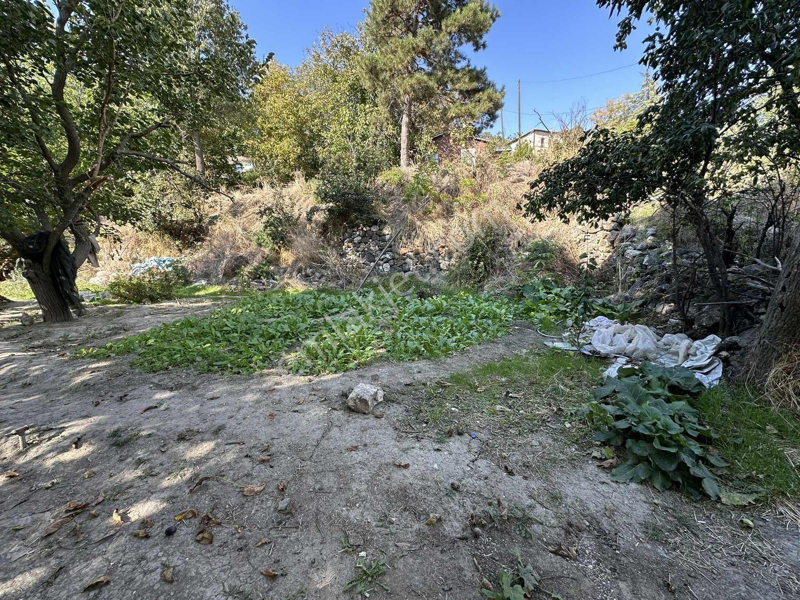 Ayaş Merkezde 1.462 M2 Tek Tapu Ahşap Evli Bağ — fotoğraf 26