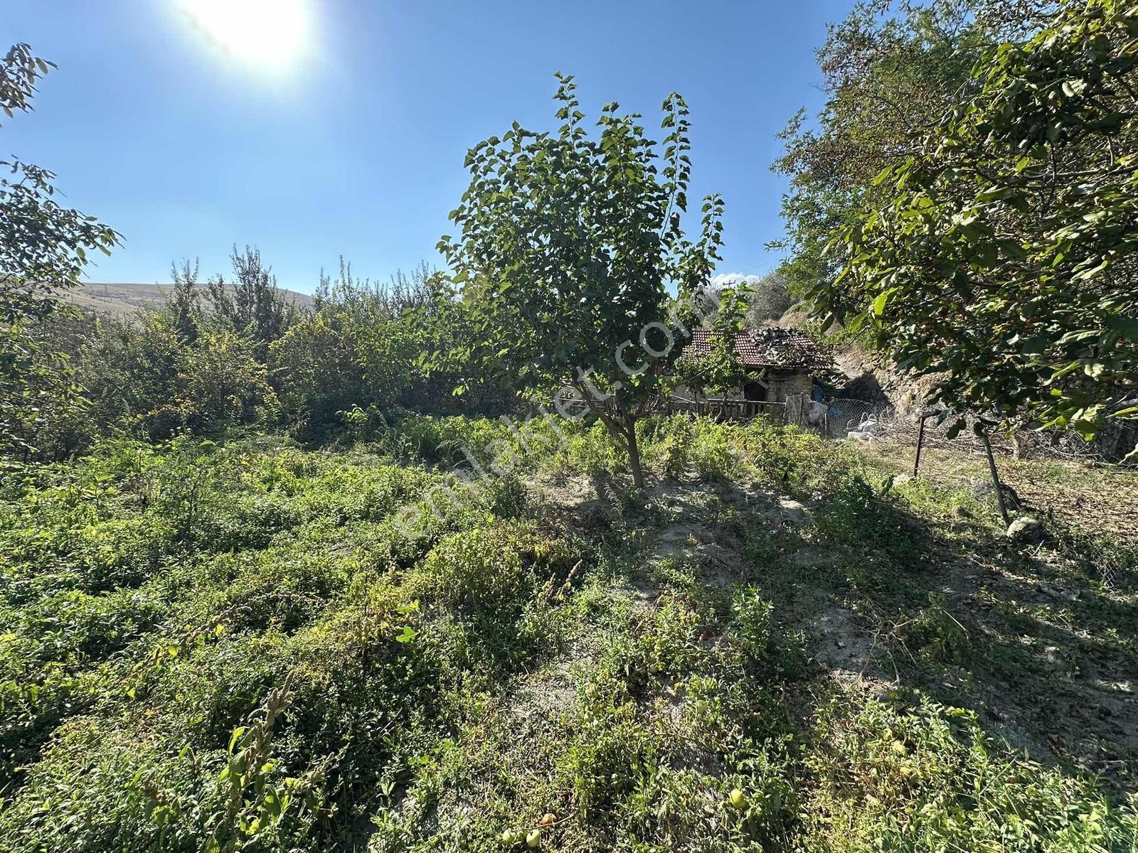Ayaş Merkezde 1.462 M2 Tek Tapu Ahşap Evli Bağ — fotoğraf 27