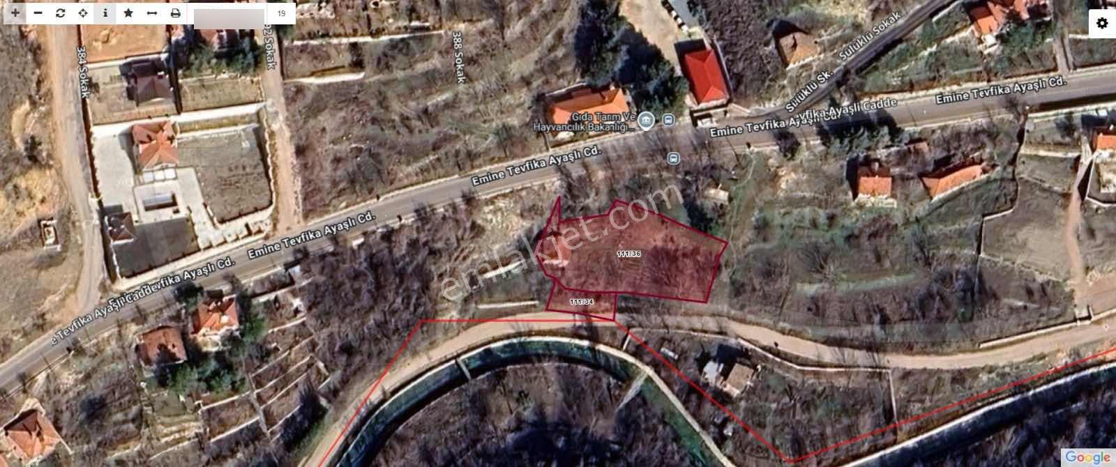 Ayaş Merkezde 1.462 M2 Tek Tapu Ahşap Evli Bağ — fotoğraf 28