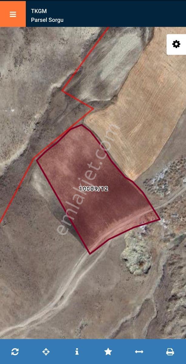 Lüx Erzurum'dan Ilıca Kandilli Yolu Üzeri Satılık Tarla