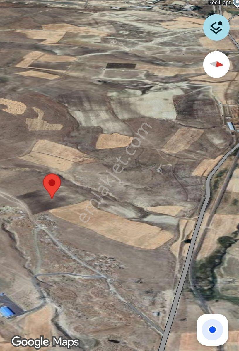 Lüx Erzurum'dan Ilıca Kandilli Yolu Üzeri Satılık Tarla — fotoğraf 13