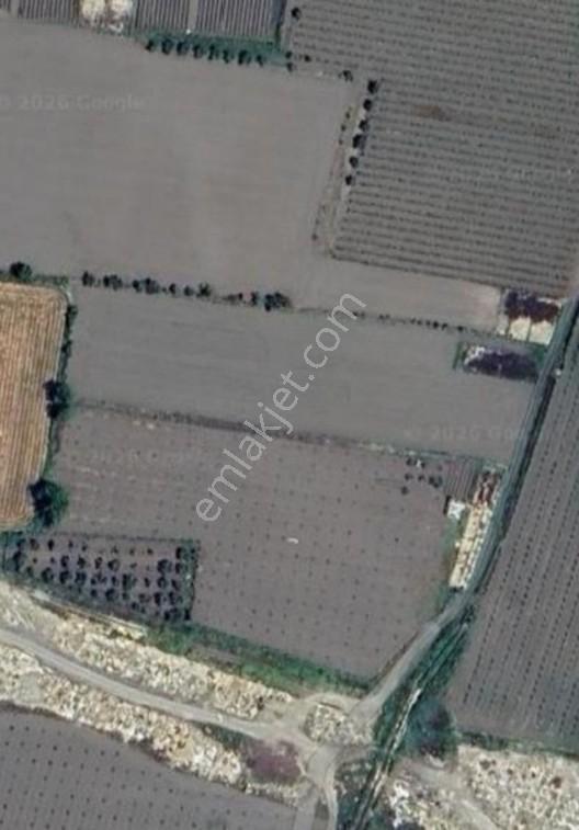 Yılmaz Mahallesı Satılık Tarla — fotoğraf 3
