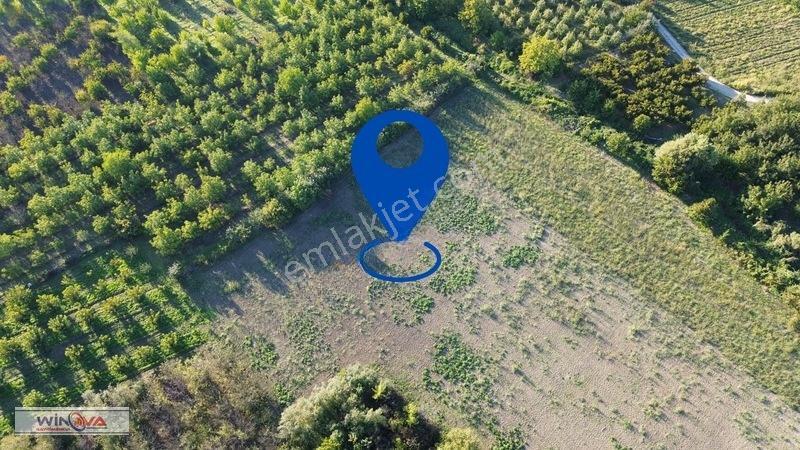 Winova | Edebey Mahallesinde Satılık Tarla — fotoğraf 2