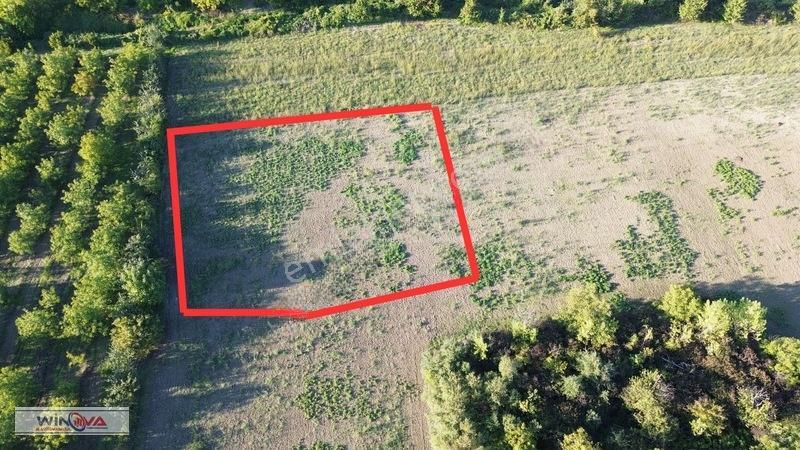 Winova | Edebey Mahallesinde Satılık Tarla — fotoğraf 3