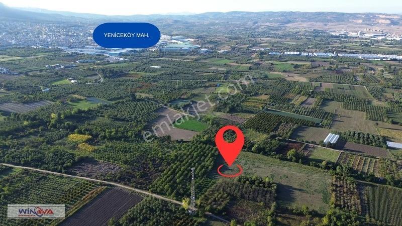Winova | Edebey Mahallesinde Satılık Tarla — fotoğraf 4