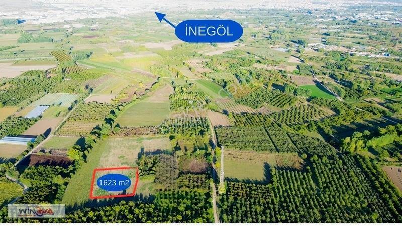 Winova | Edebey Mahallesinde Satılık Tarla — fotoğraf 5