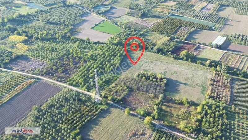 Winova | Edebey Mahallesinde Satılık Tarla — fotoğraf 6