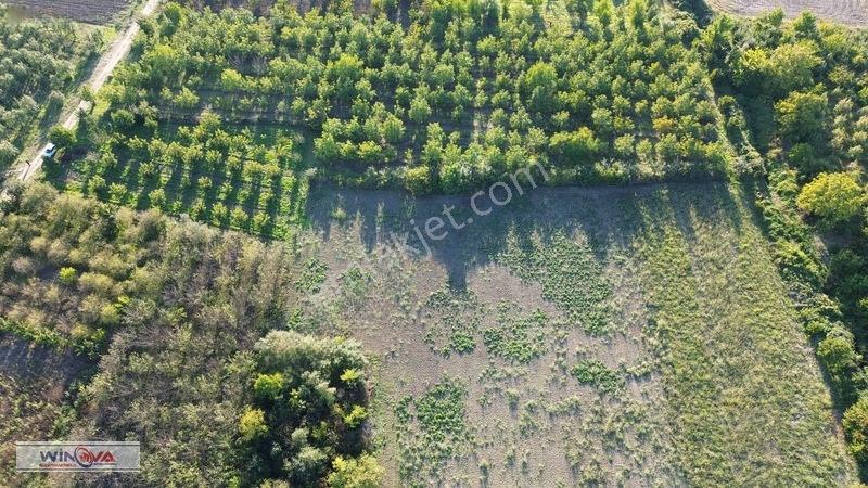 Winova | Edebey Mahallesinde Satılık Tarla — fotoğraf 9