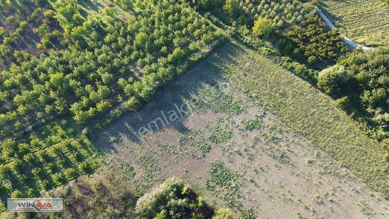 Winova | Edebey Mahallesinde Satılık Tarla — fotoğraf 10