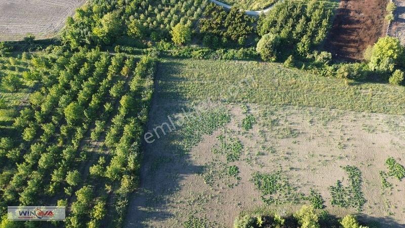 Winova | Edebey Mahallesinde Satılık Tarla — fotoğraf 11