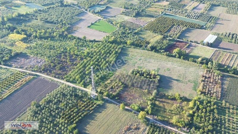 Winova | Edebey Mahallesinde Satılık Tarla — fotoğraf 12