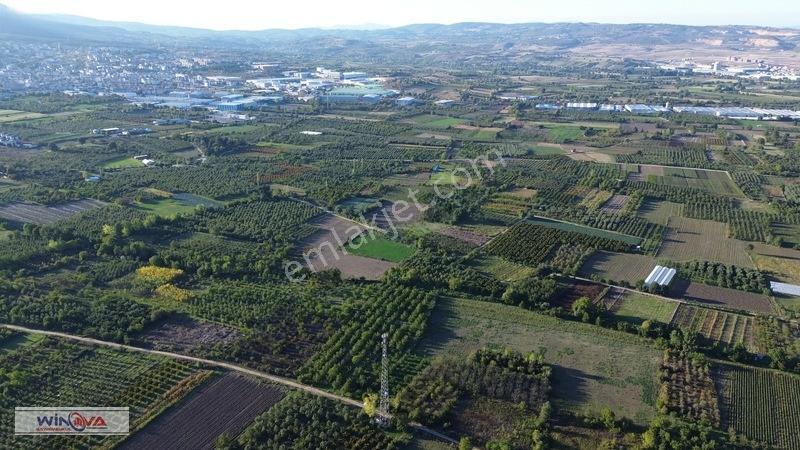 Winova | Edebey Mahallesinde Satılık Tarla — fotoğraf 14