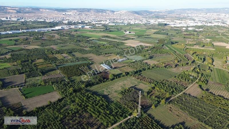 Winova | Edebey Mahallesinde Satılık Tarla — fotoğraf 15