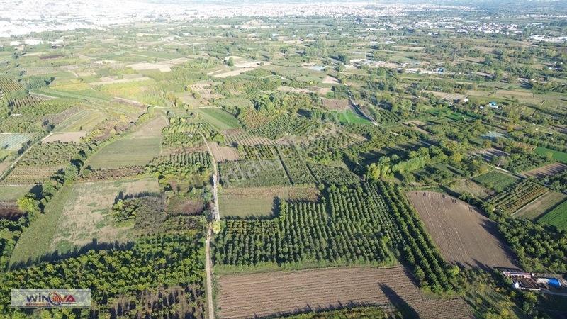 Winova | Edebey Mahallesinde Satılık Tarla — fotoğraf 16