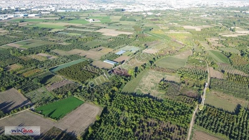 Winova | Edebey Mahallesinde Satılık Tarla — fotoğraf 17